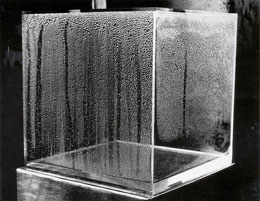 condensation cube